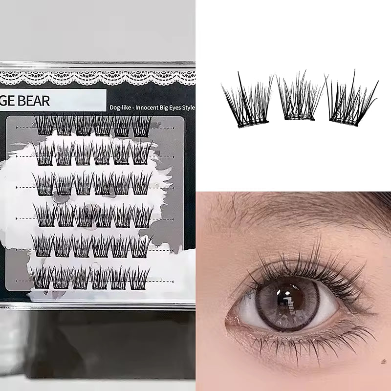 False eyelashes packaging, lashes on a tray, and an eye wearing the false eyelashes.