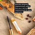 Growth serum with a specially designed brush on a wooden surface with almonds and rosemary.