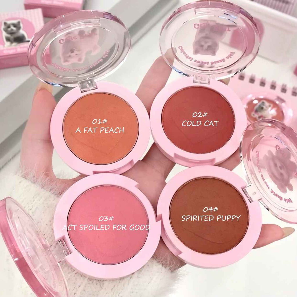 Set of blushes with pink cases and names on a white background