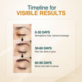 Timeline for visible results of a hair care product on eyebrows with text indicating timeframes and effects.