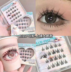 Collage of false eyelashes packaging and application on eyes with text 'BIRD'.