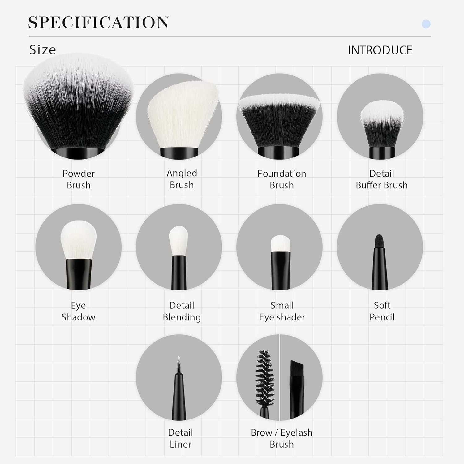 Illustrations of various makeup brushes with labels on a white background