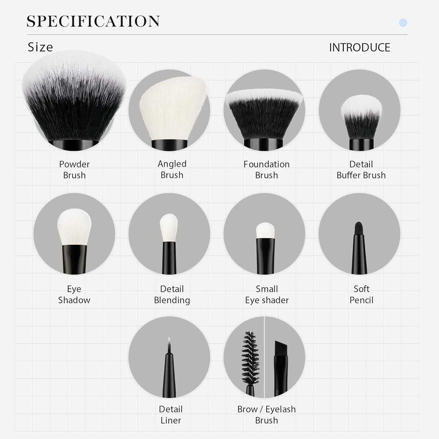 Illustrations of various makeup brushes with labels on a white background