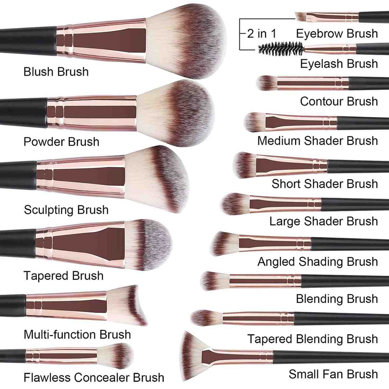 Collection of makeup brushes with labels on a white background