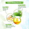 Diagram of tea tree oil, ginger oil, and vitamin E with text on their benefits.